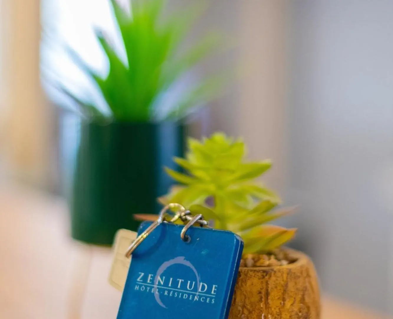 Zenitude Hotel-Residences Le Cannet Aparthotel